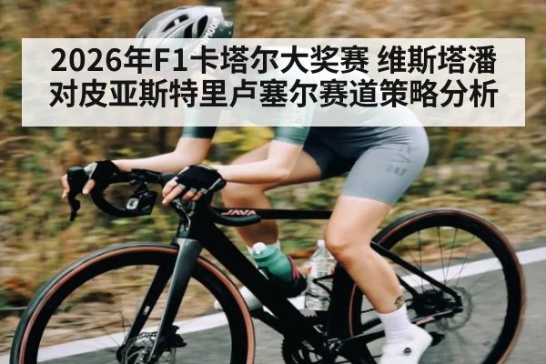 2026年F1卡塔尔大奖赛 维斯塔潘对皮亚斯特里卢塞尔赛道策略分析